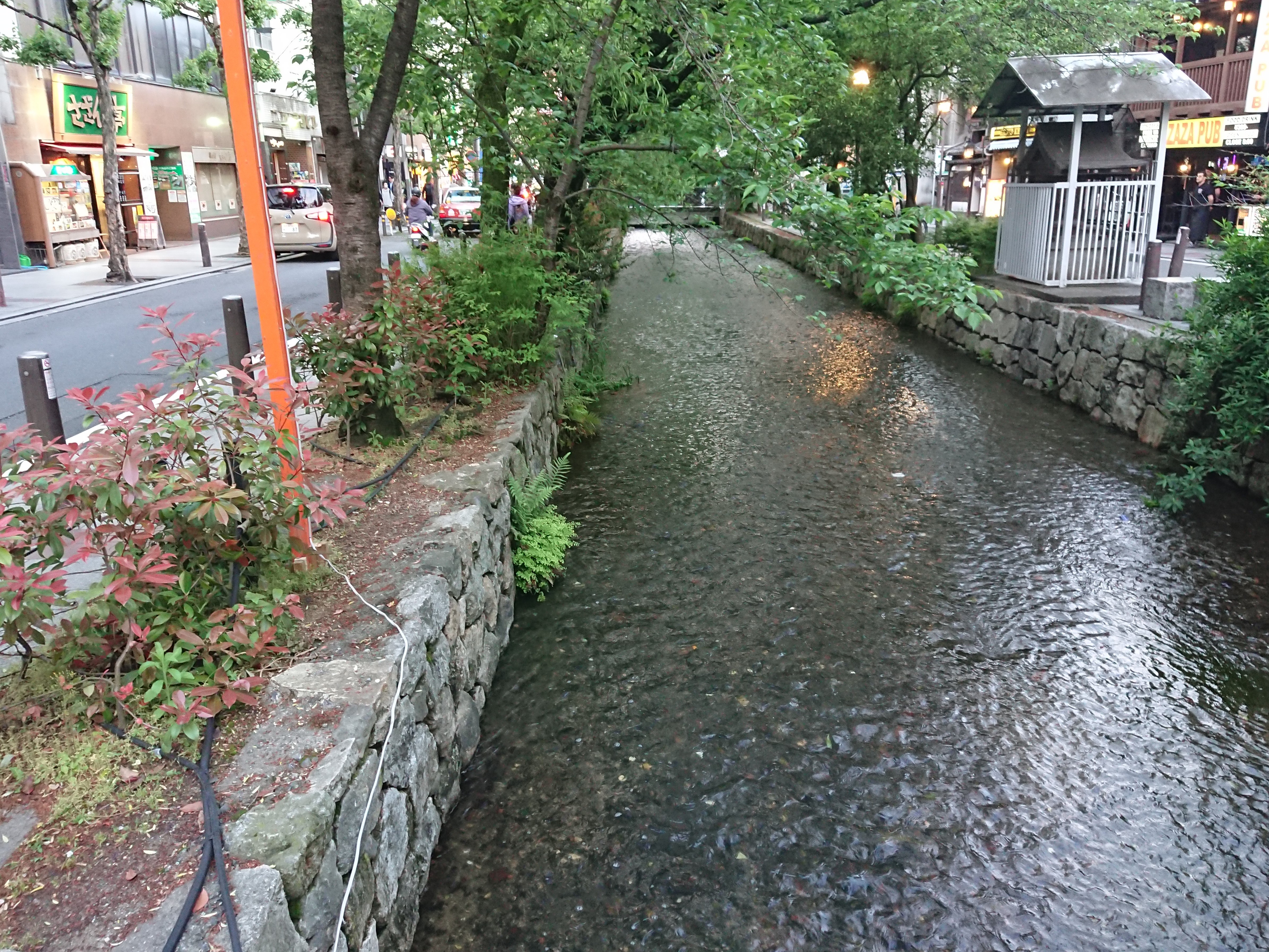 電磁波過敏症の対策と克服