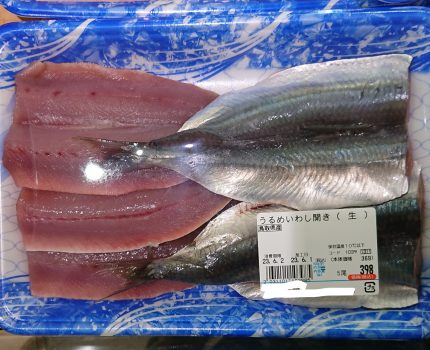 魚アレルギー？水銀中毒？マイクロプラスチック？PFAS？