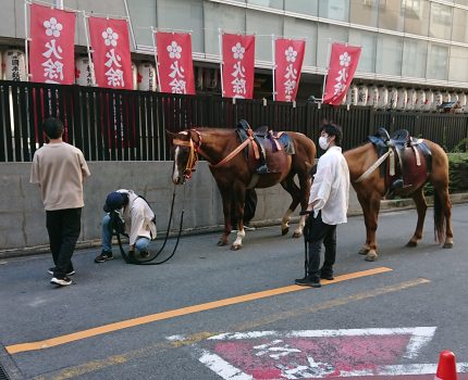 アレルギー対策睡眠導入研究・その①・眼精疲労マッサージ