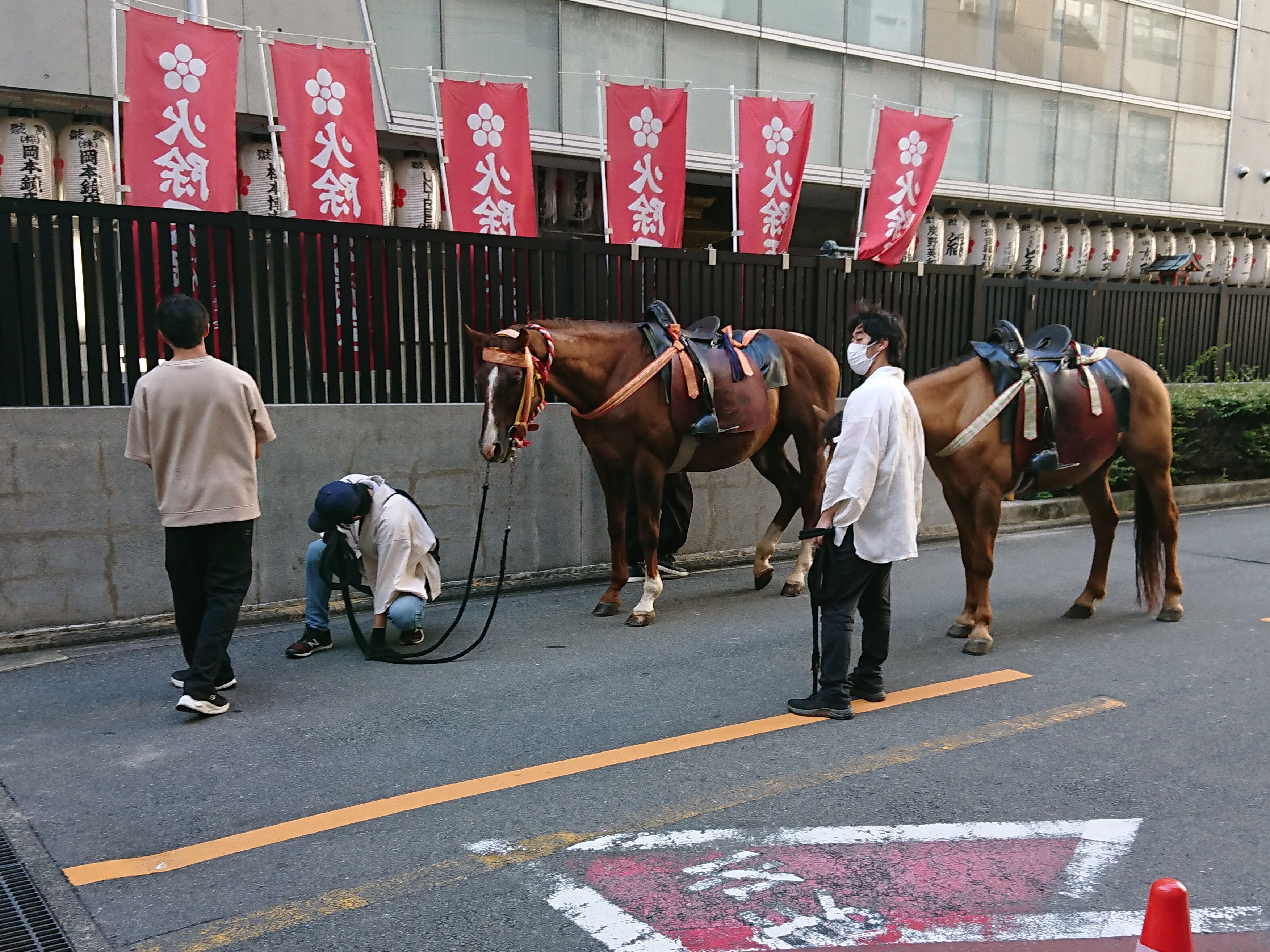 長距離ドライブにチャレンジ