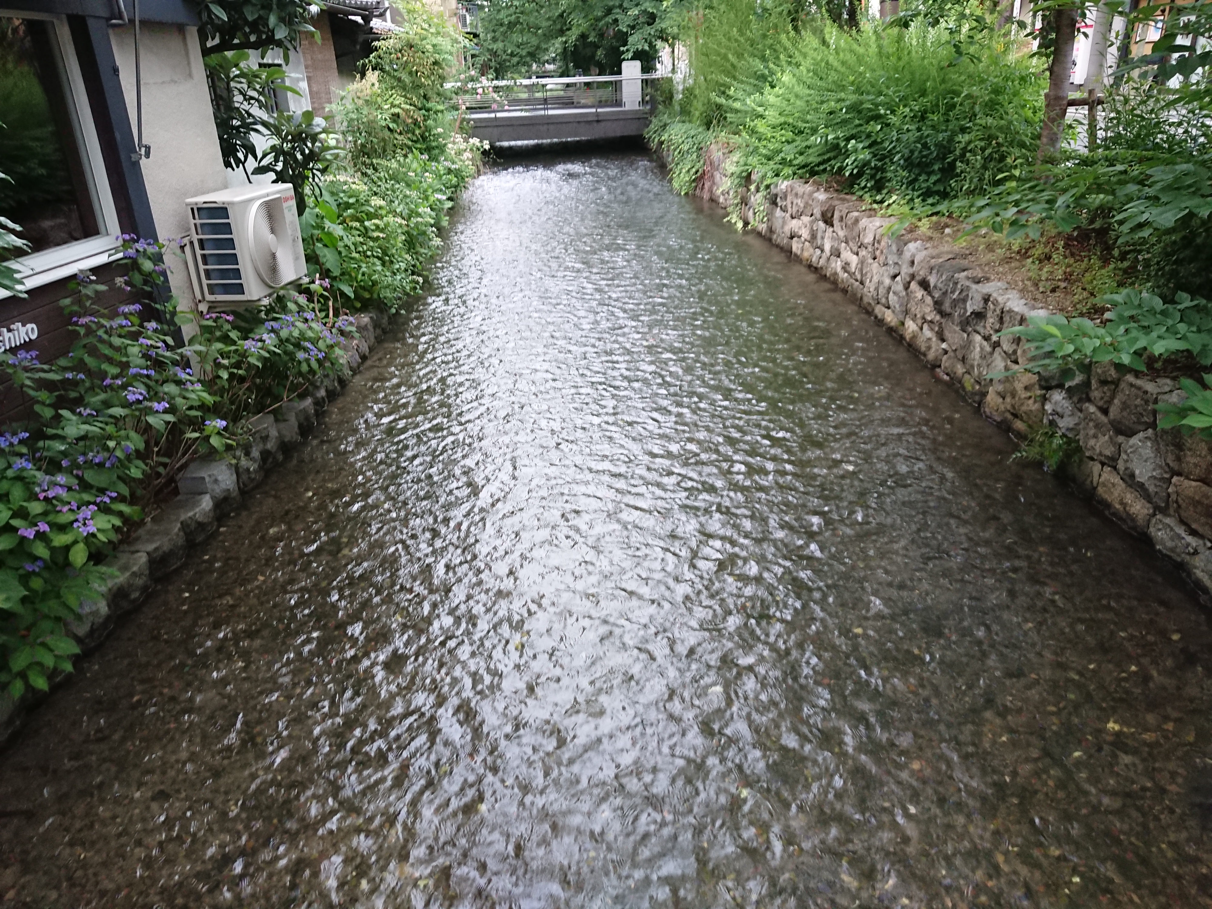 初めてのスッポン鍋