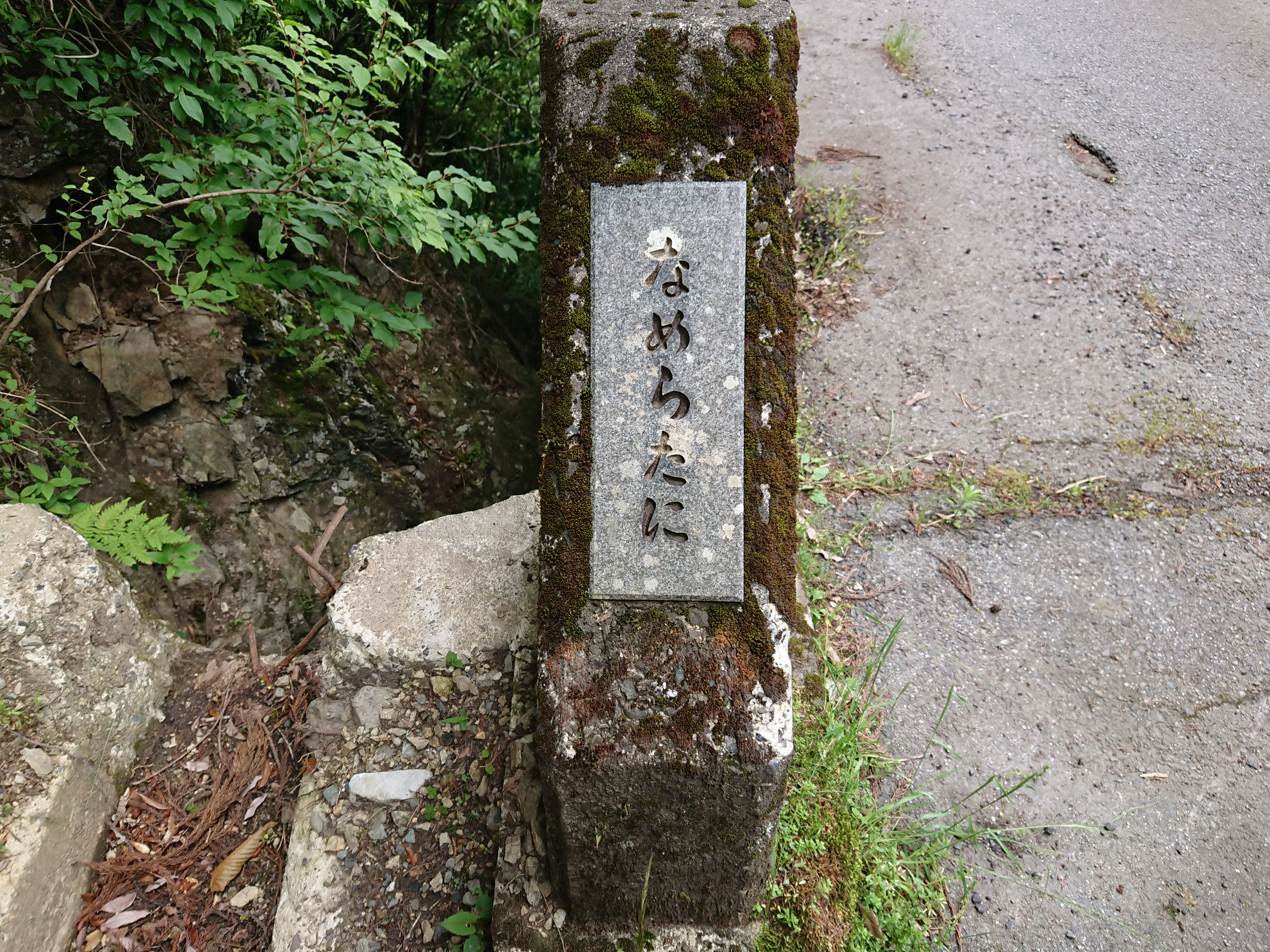 沢登り旅行失敗