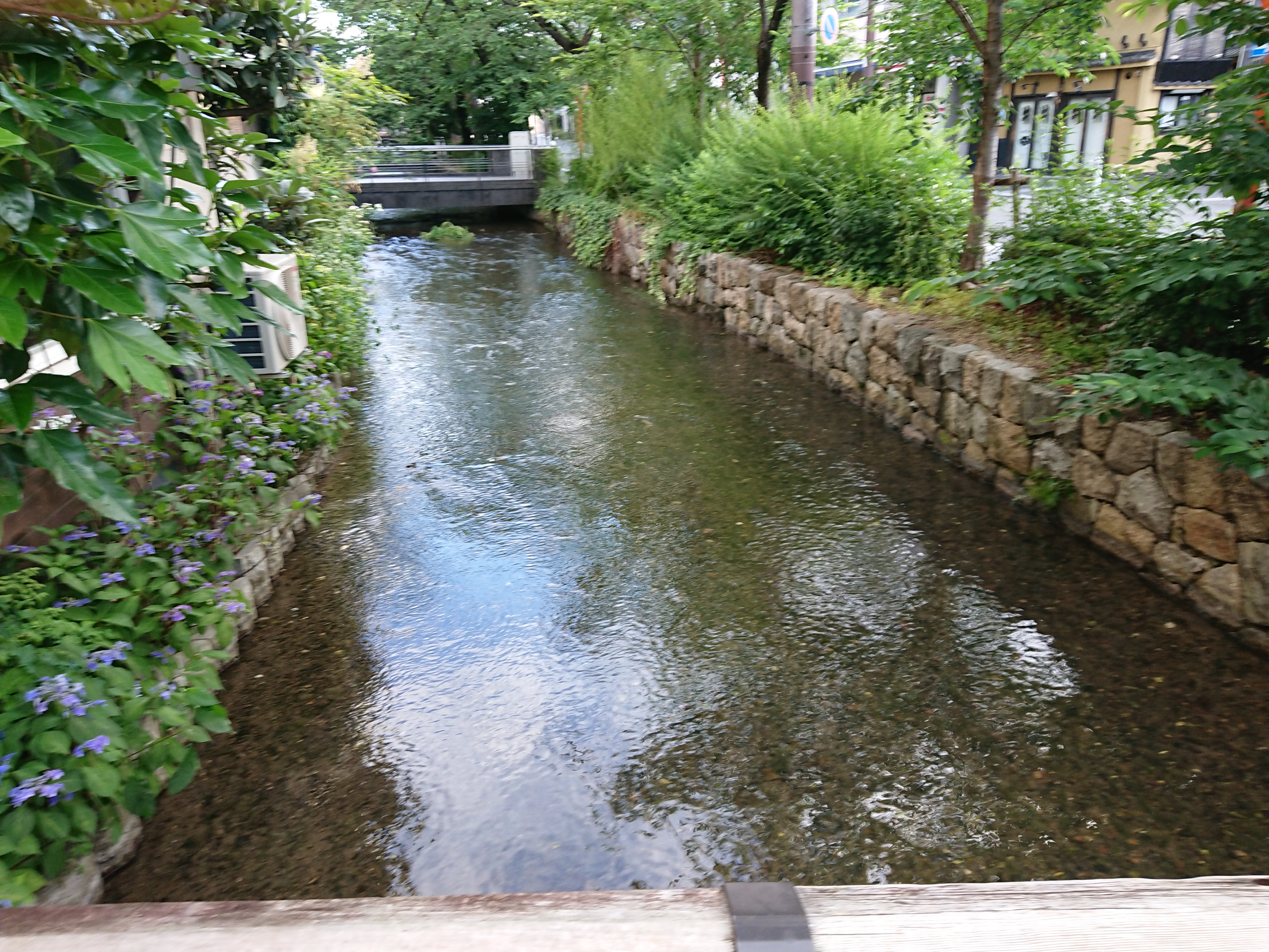 慢性疾患の原因の一つに水道水もあるはず