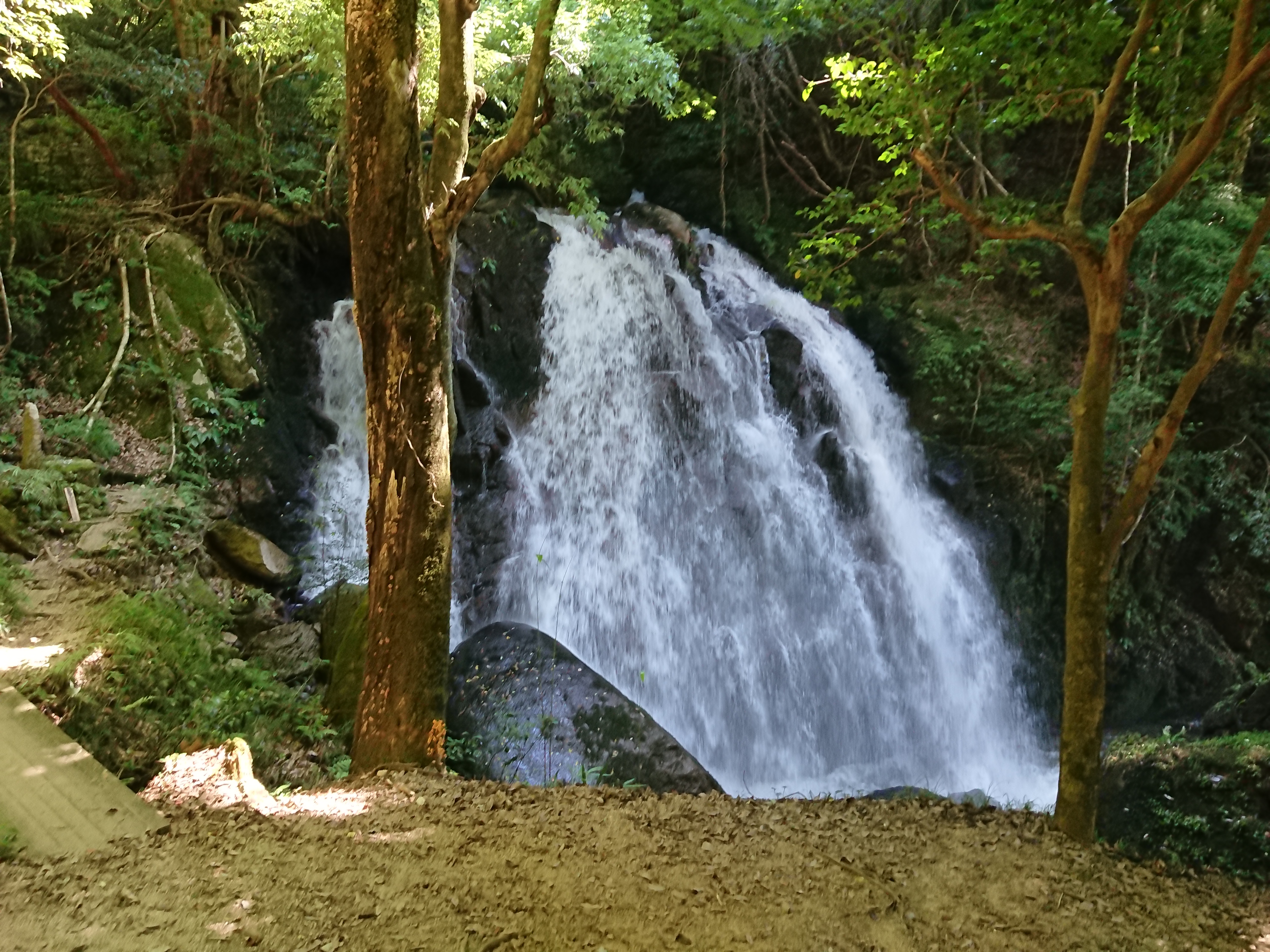 信楽町へ小旅行